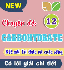 Carbohydrate (KNTT)